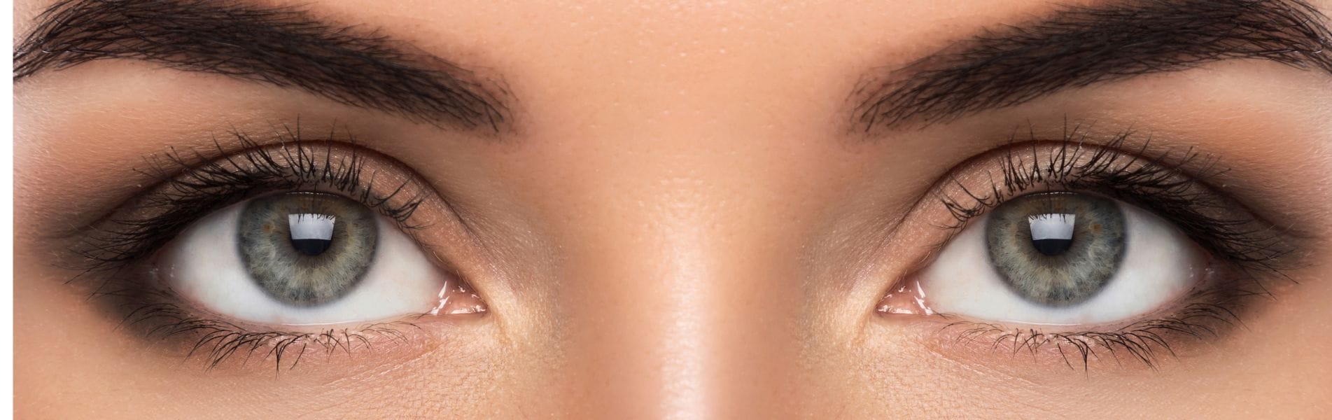 Foxy Eyes 1 foxy eyes